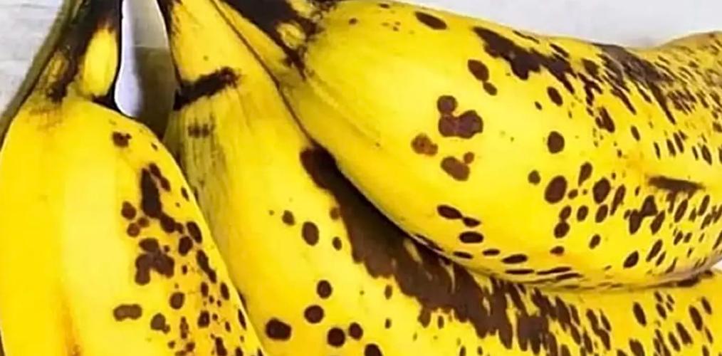 Bananas maduras — o cuidado contínuo com a alimentação e a postura